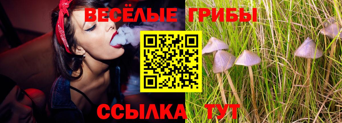 Галлюциногенные грибы мухоморы  Вход с VPN  Тихвин 